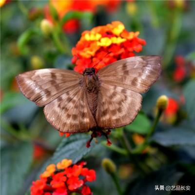 果盘天堂之刃手游官方版下载